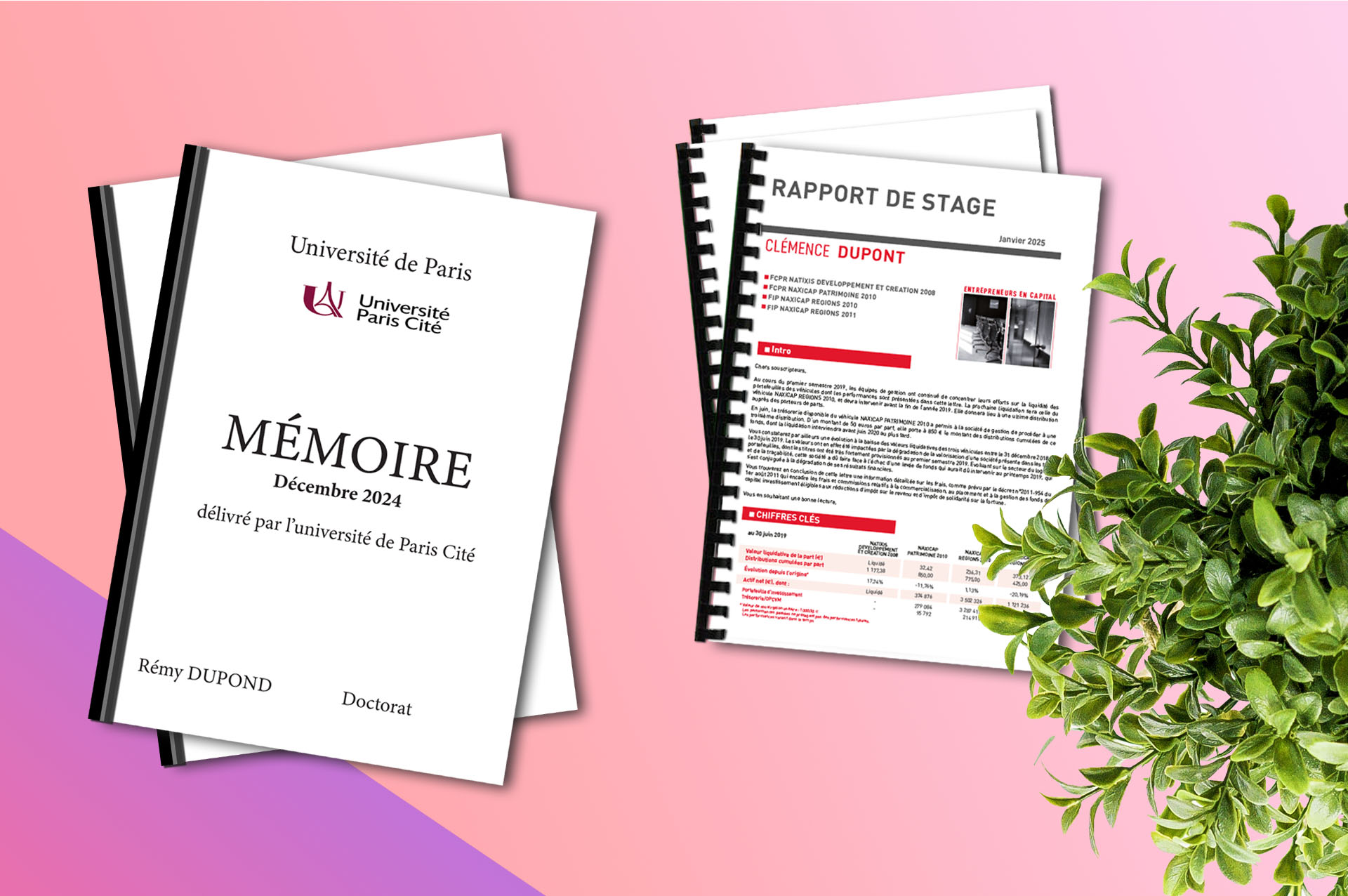 Mémoires, rapports de stage